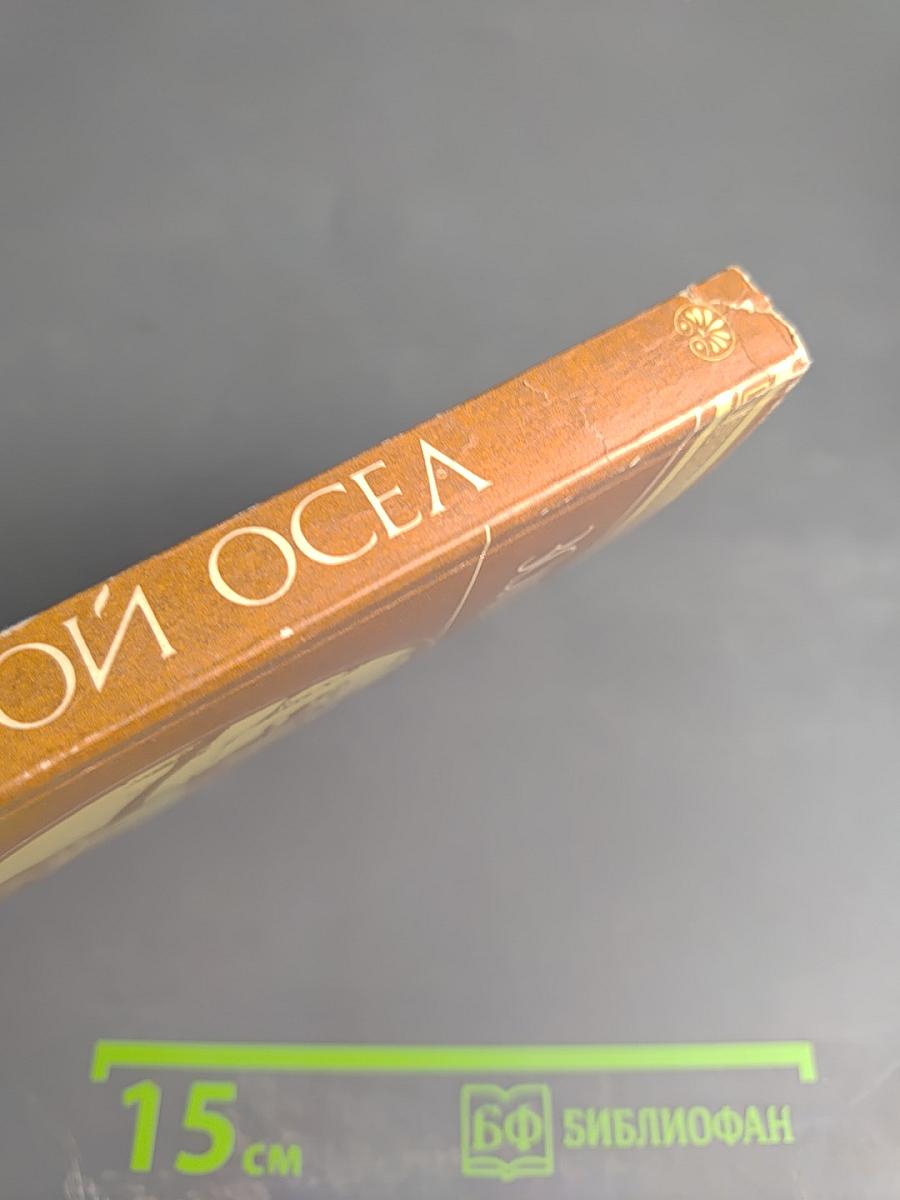 Золотой Осел. Диалоги