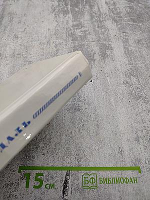 Красное и Черное. Хроника XIX века.