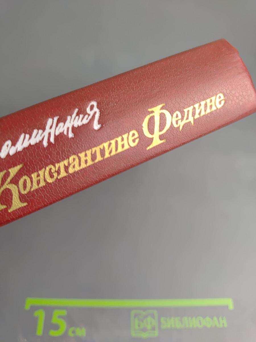 Воспоминания о Константине Федине. Сборник