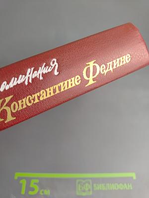 Воспоминания о Константине Федине. Сборник