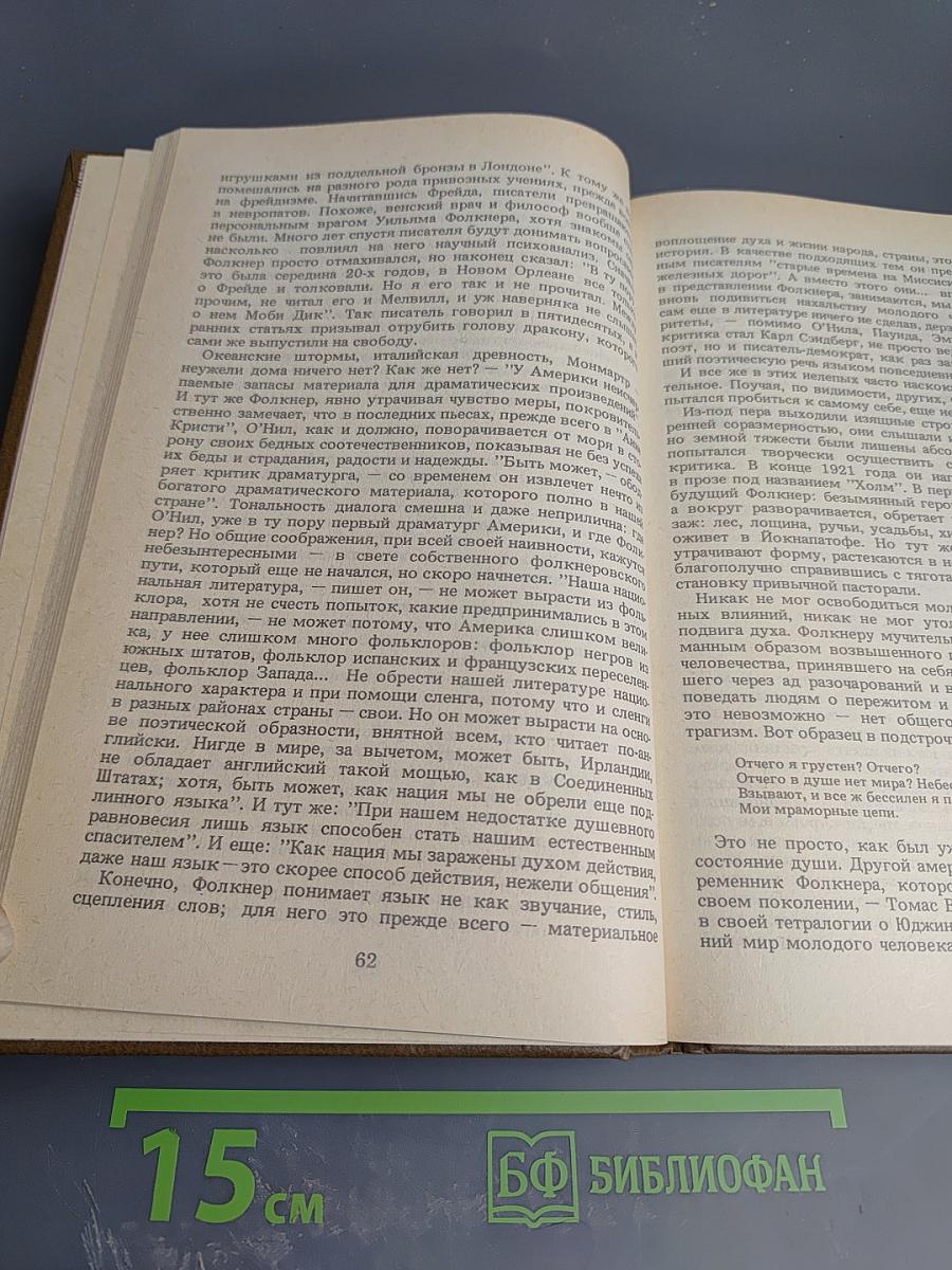 Владелец Йокнапатофы