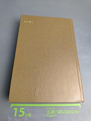 Владелец Йокнапатофы