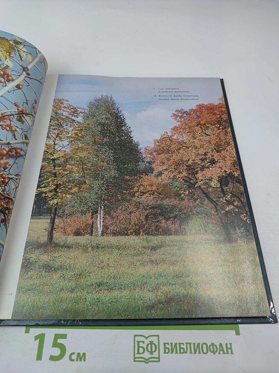 Жывыя фарбы Батанічнага