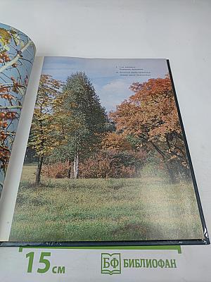 Жывыя фарбы Батанічнага