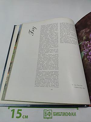 Жывыя фарбы Батанічнага