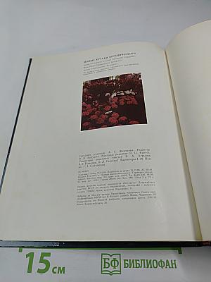 Жывыя фарбы Батанічнага