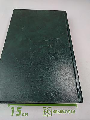 История Русской Церкви. Книга Четвертая. Часть Первая