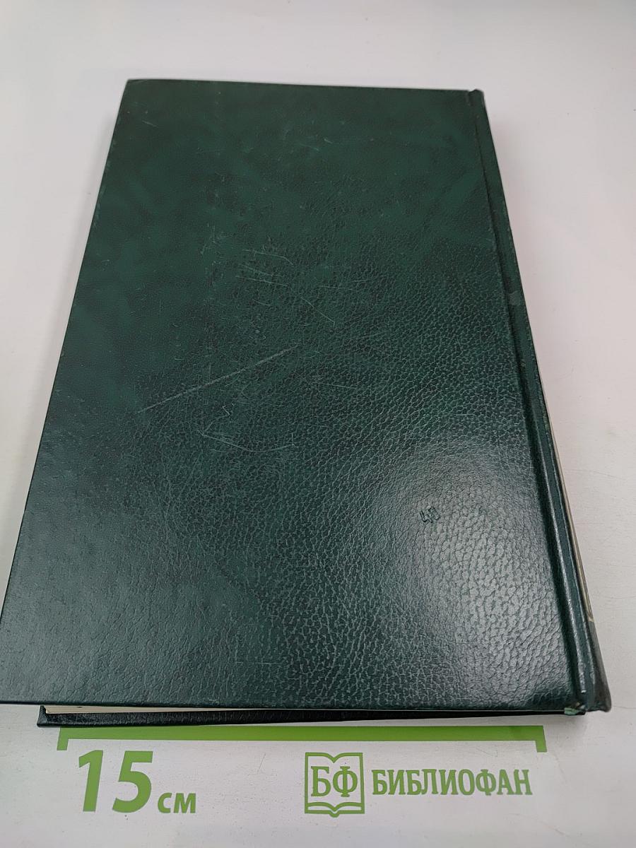 История Русской Церкви. Книга Четвертая. Часть Вторая. Том 8