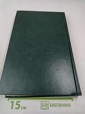 История Русской Церкви. Книга Четвертая. Часть Вторая. Том 8