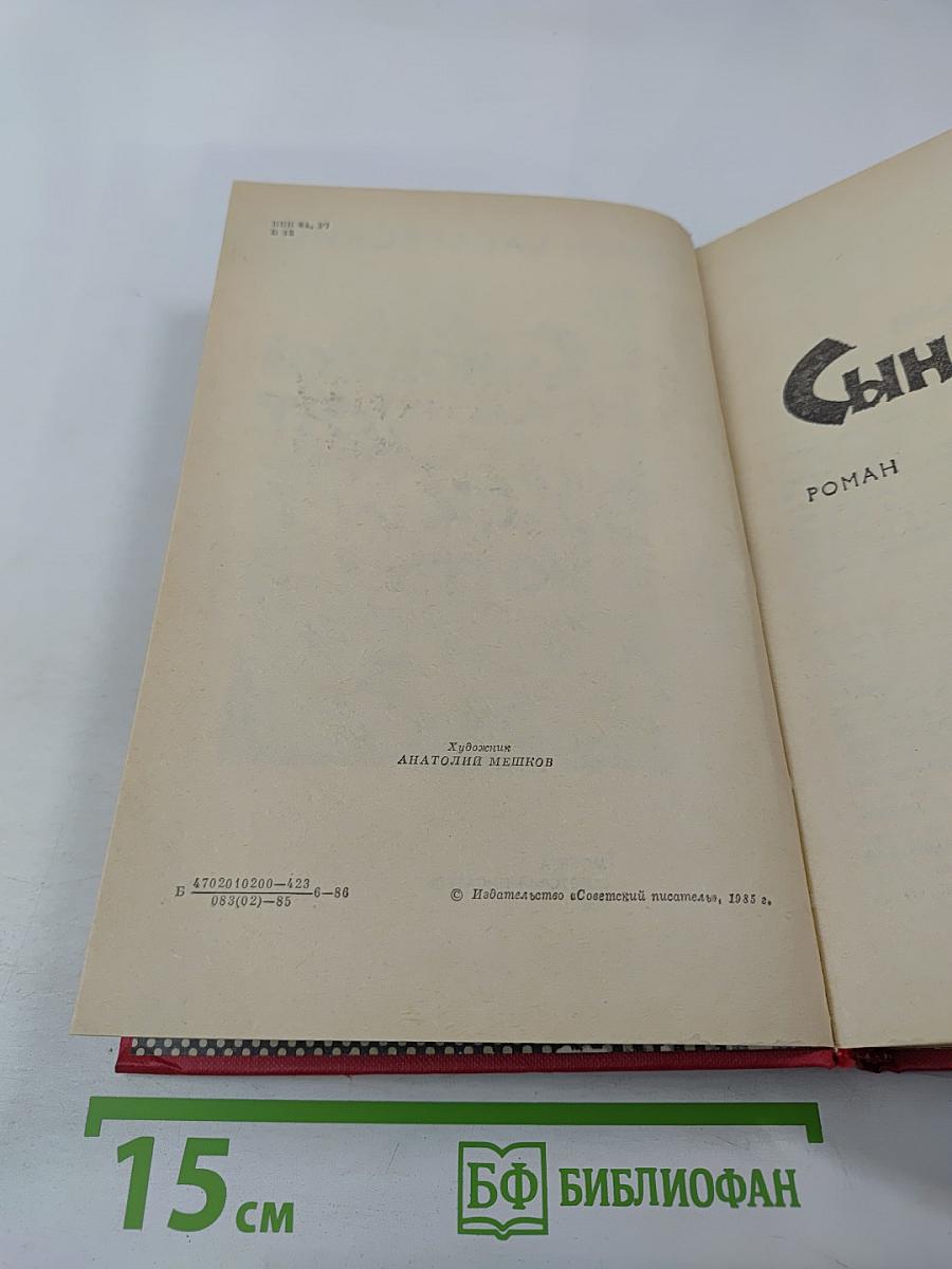 Сыновний бунт. Как жить?