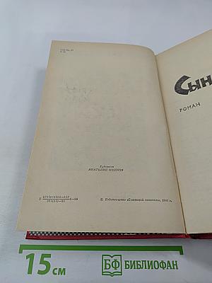 Сыновний бунт. Как жить?