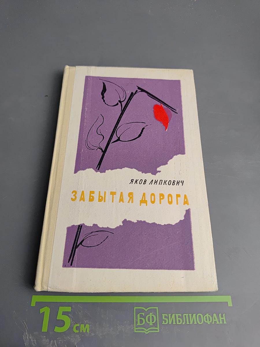 Забытая дорога