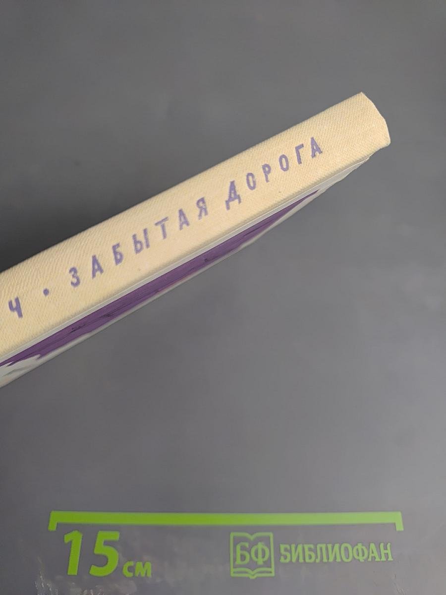 Забытая дорога