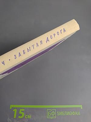 Забытая дорога