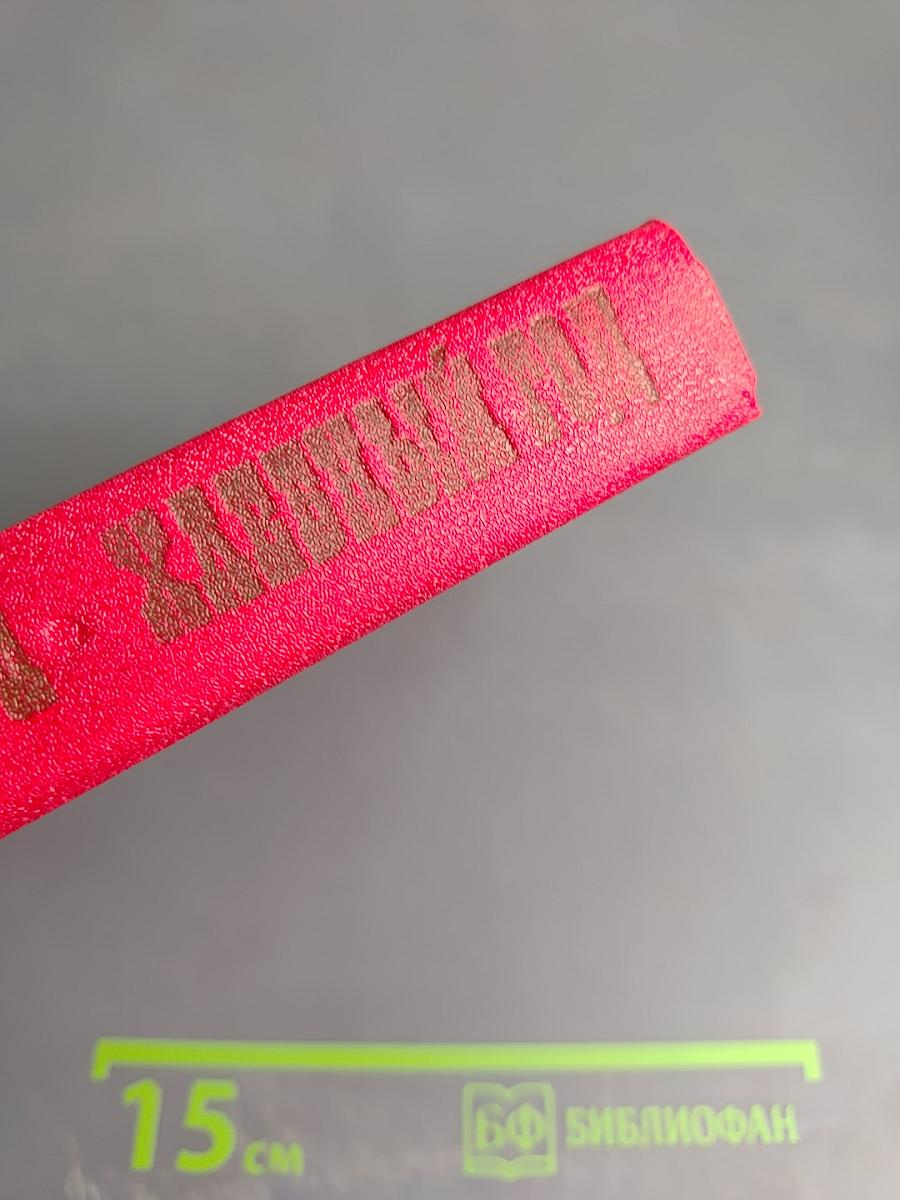 Хлебный год. Рассказы и повести