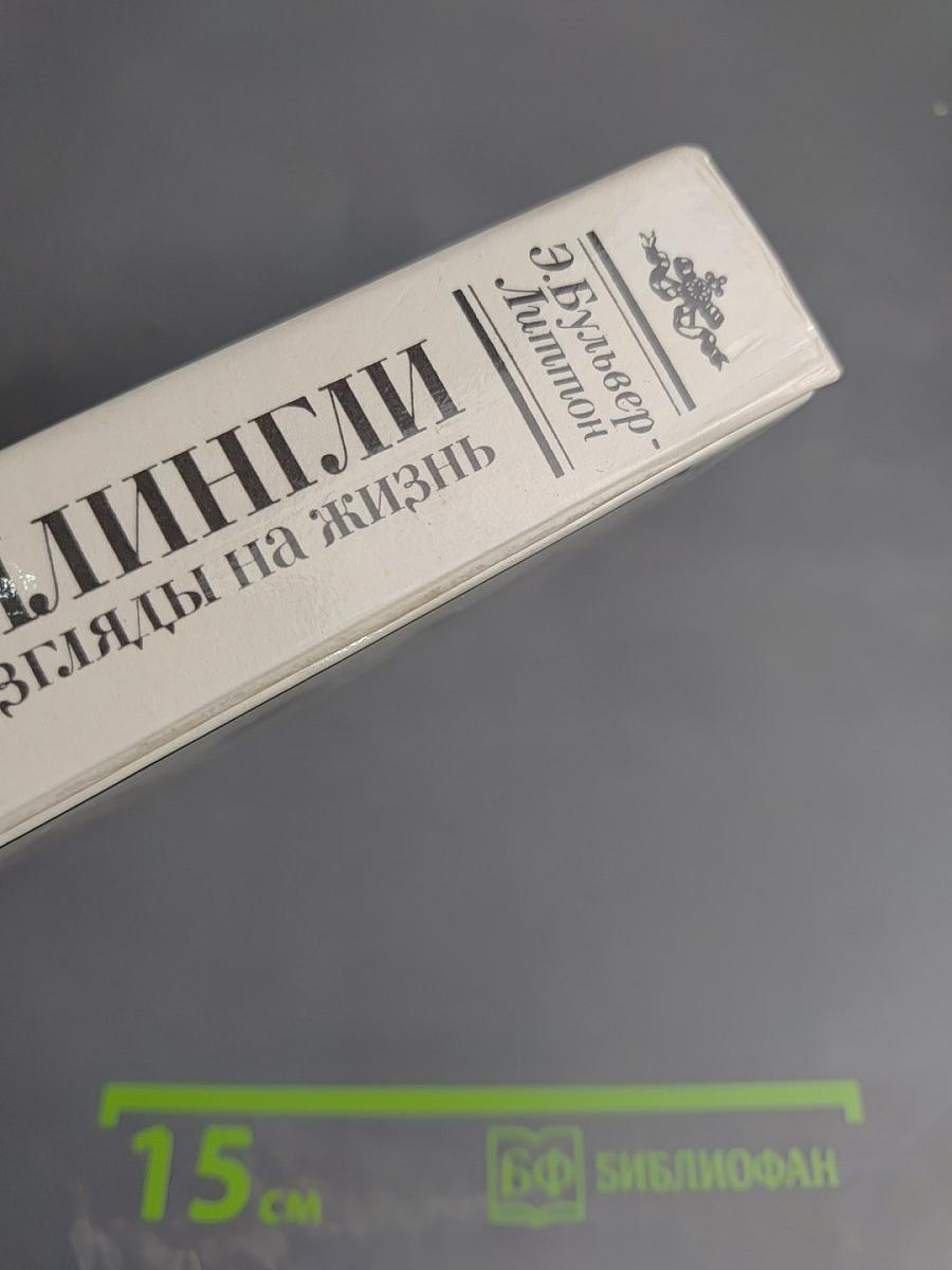 Кенелм Чиллингли его приключения и взгляды на жизнь