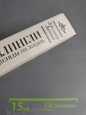 Кенелм Чиллингли его приключения и взгляды на жизнь