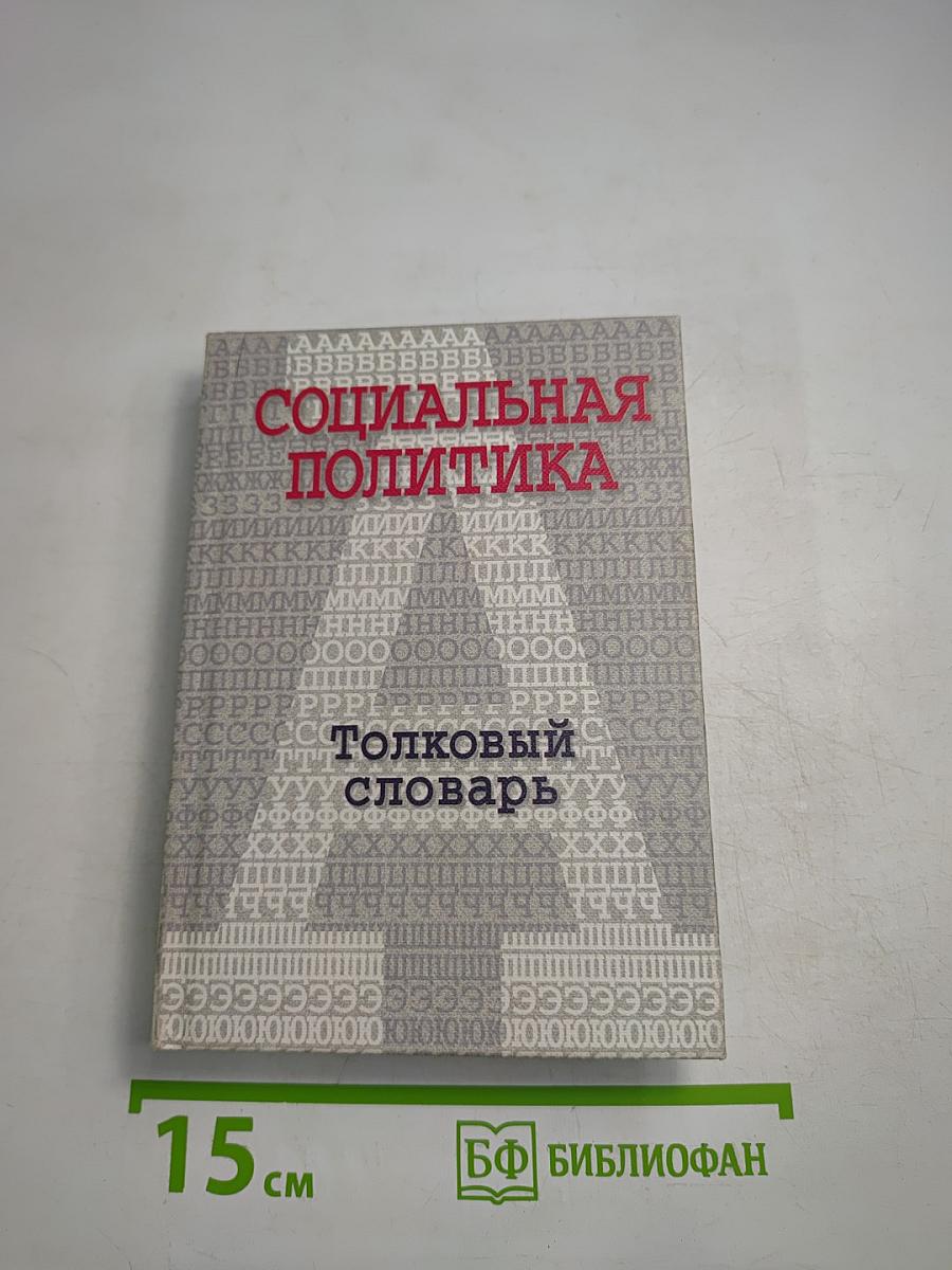 Социальная политика: Толковый словарь