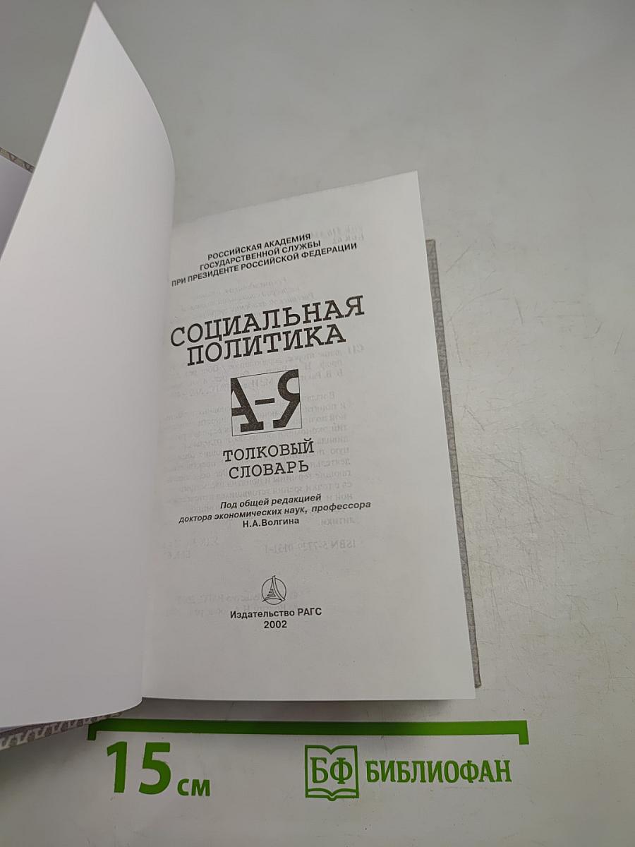 Социальная политика: Толковый словарь