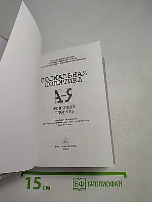 Социальная политика: Толковый словарь
