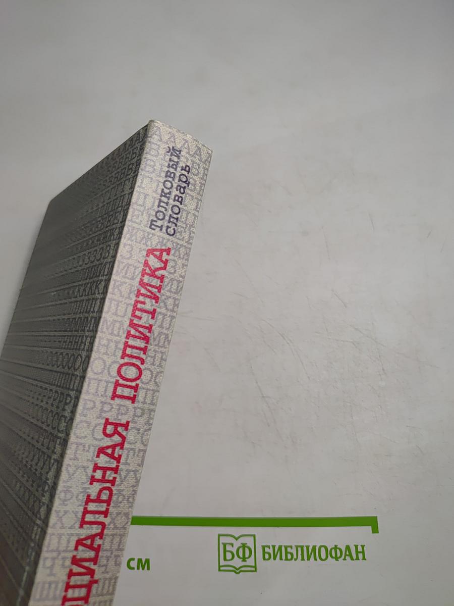 Социальная политика: Толковый словарь