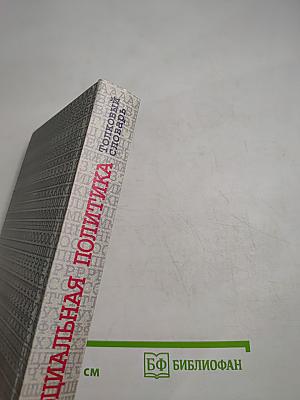 Социальная политика: Толковый словарь