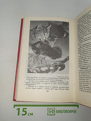 Домашние животные