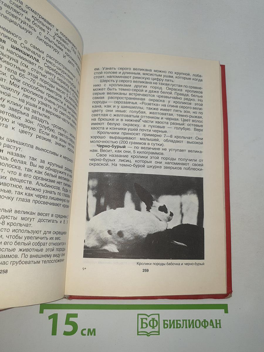 Домашние животные
