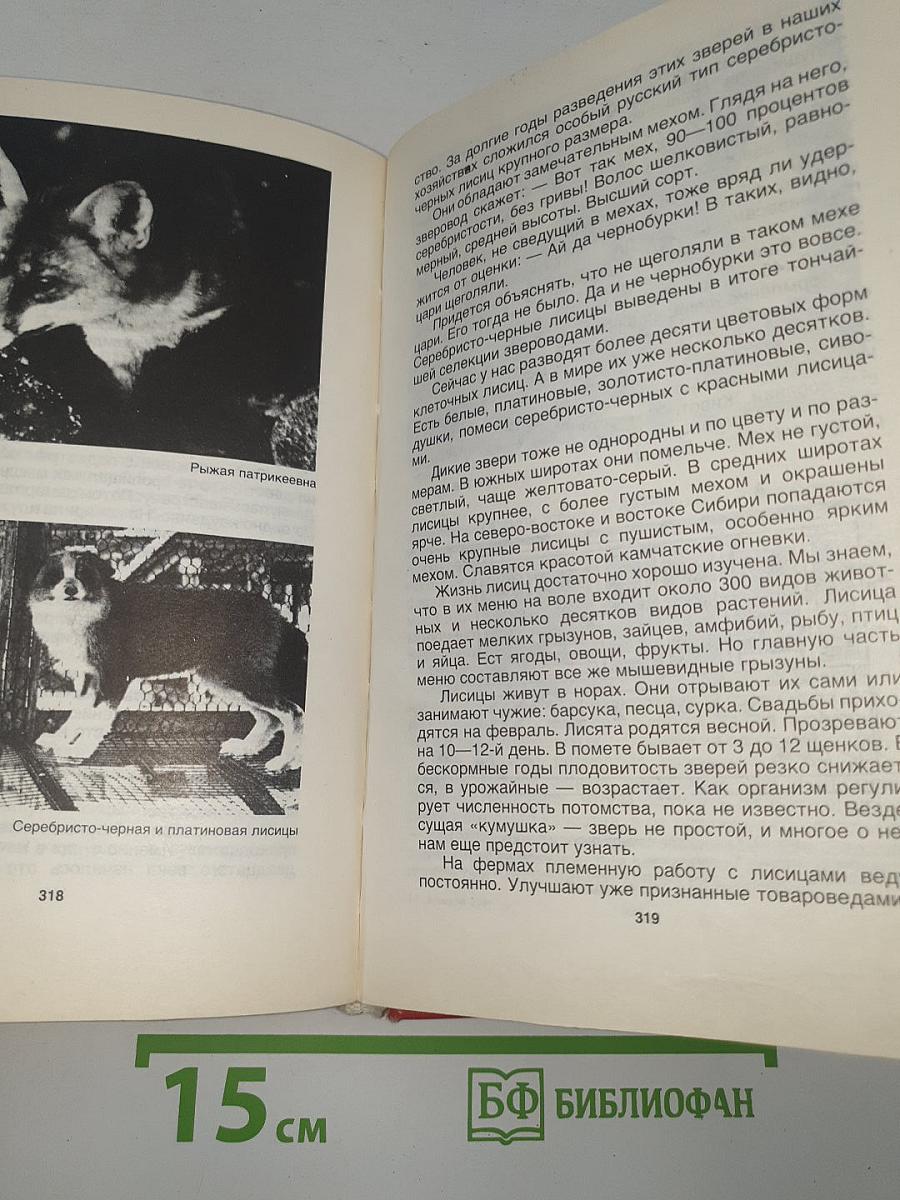Домашние животные