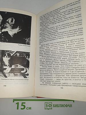 Домашние животные