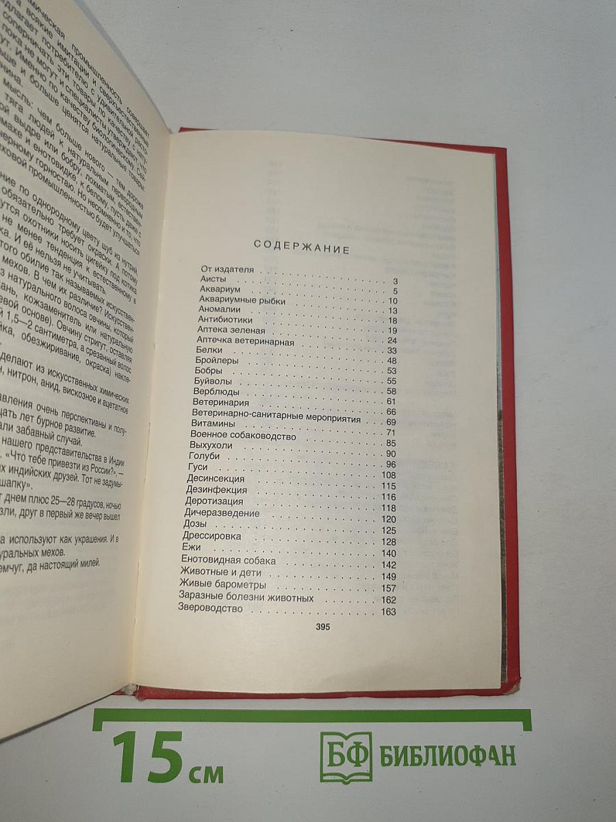 Домашние животные
