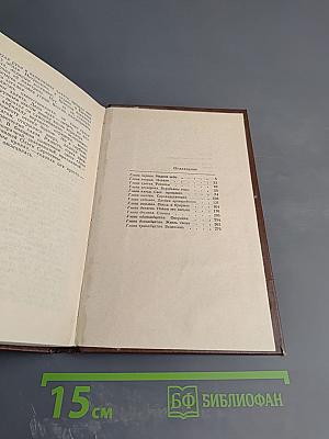 Перед жарким летом