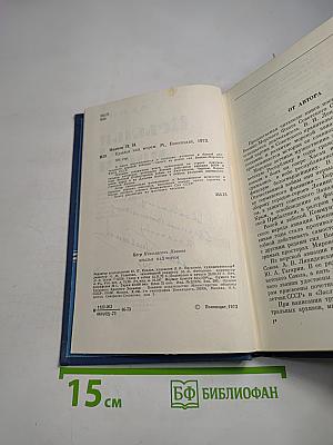 Крылья над морем