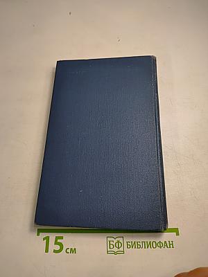 Крылья над морем