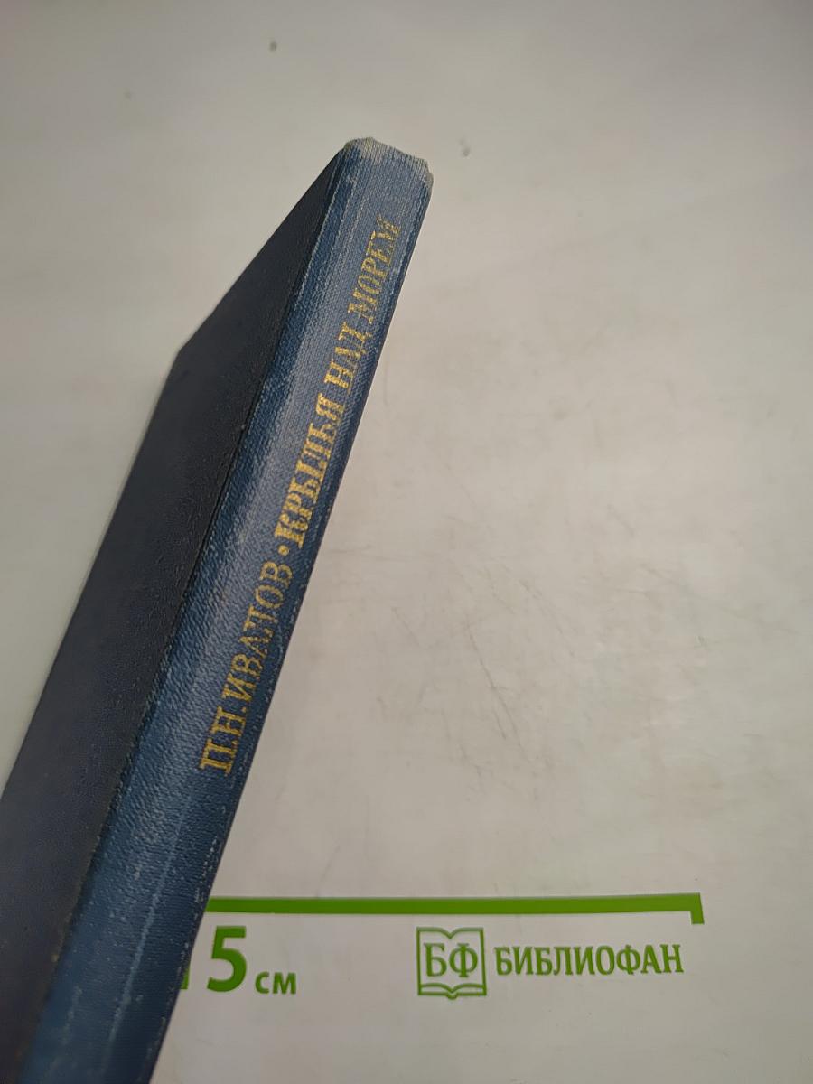 Крылья над морем