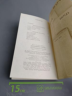 Цебельдинская находка