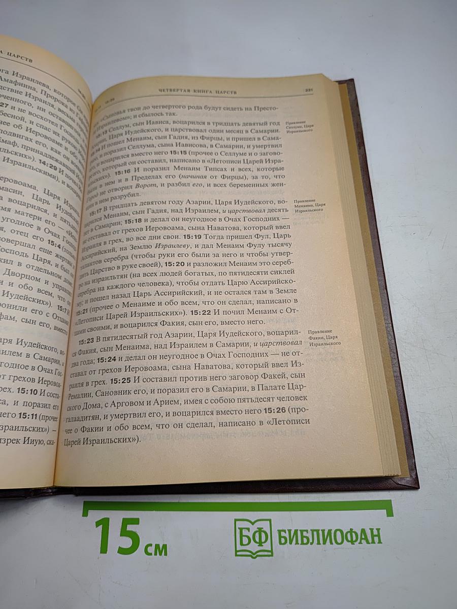 Новая толковая Библия. Том 4