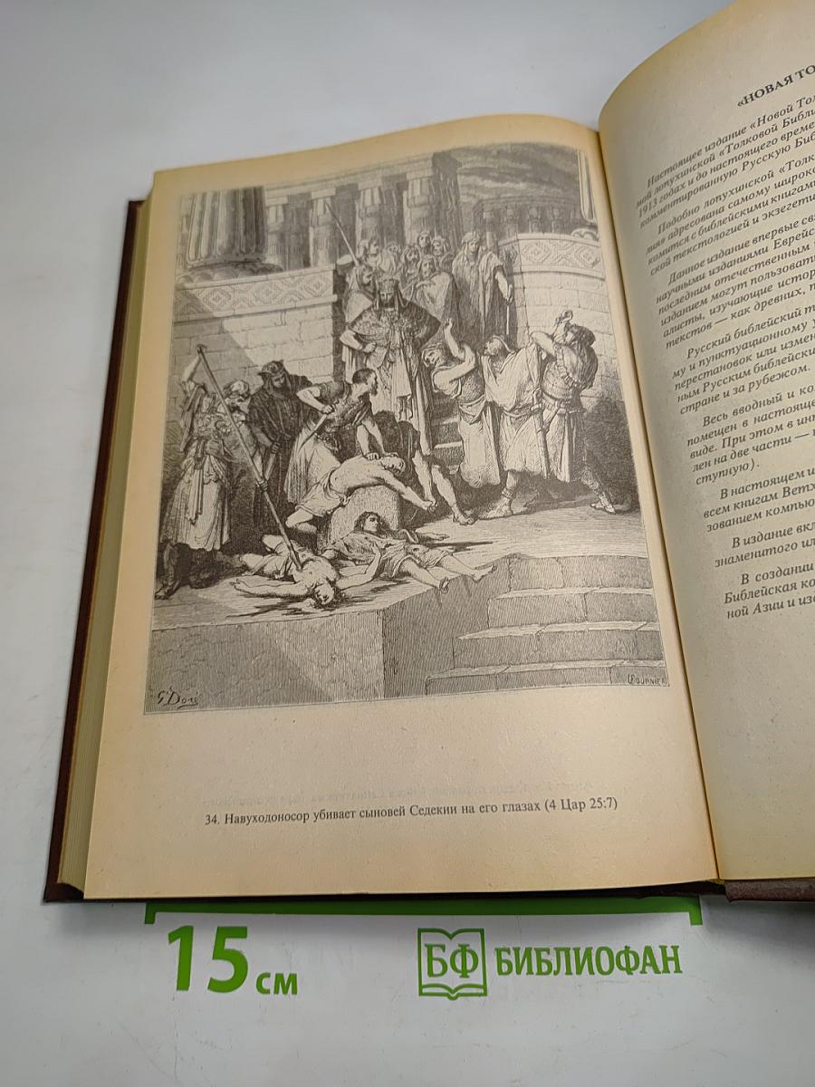 Новая толковая Библия. Том 4