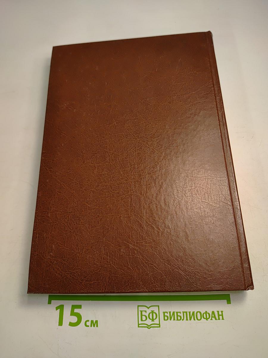 Новая толковая Библия. Том 4