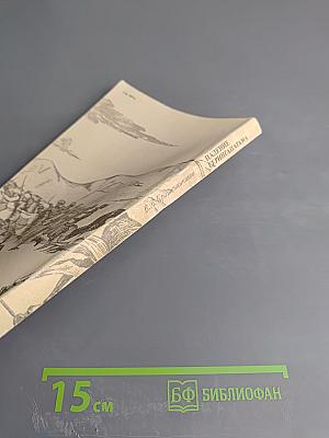 Падение Серингапатама