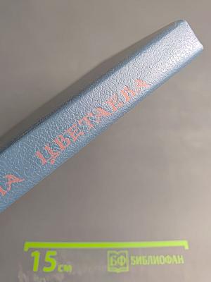 Стихотворения. Пьесы