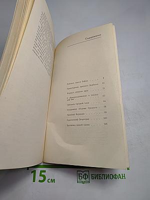 Бастионы славы