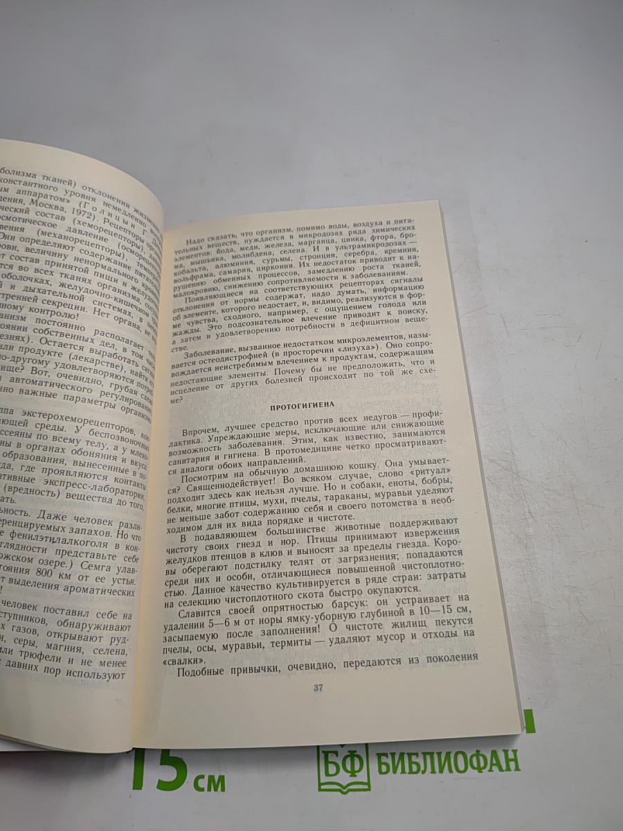 Время искать