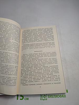 Время искать