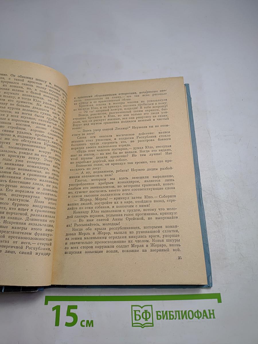 Шуаны или Бретань в 1799