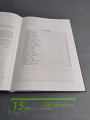 Терминологический словарь по промышленной безопасности