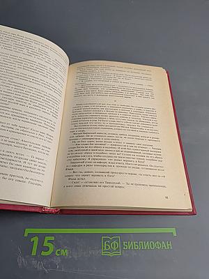 Остри свой меч! Книга вторая. Том второй