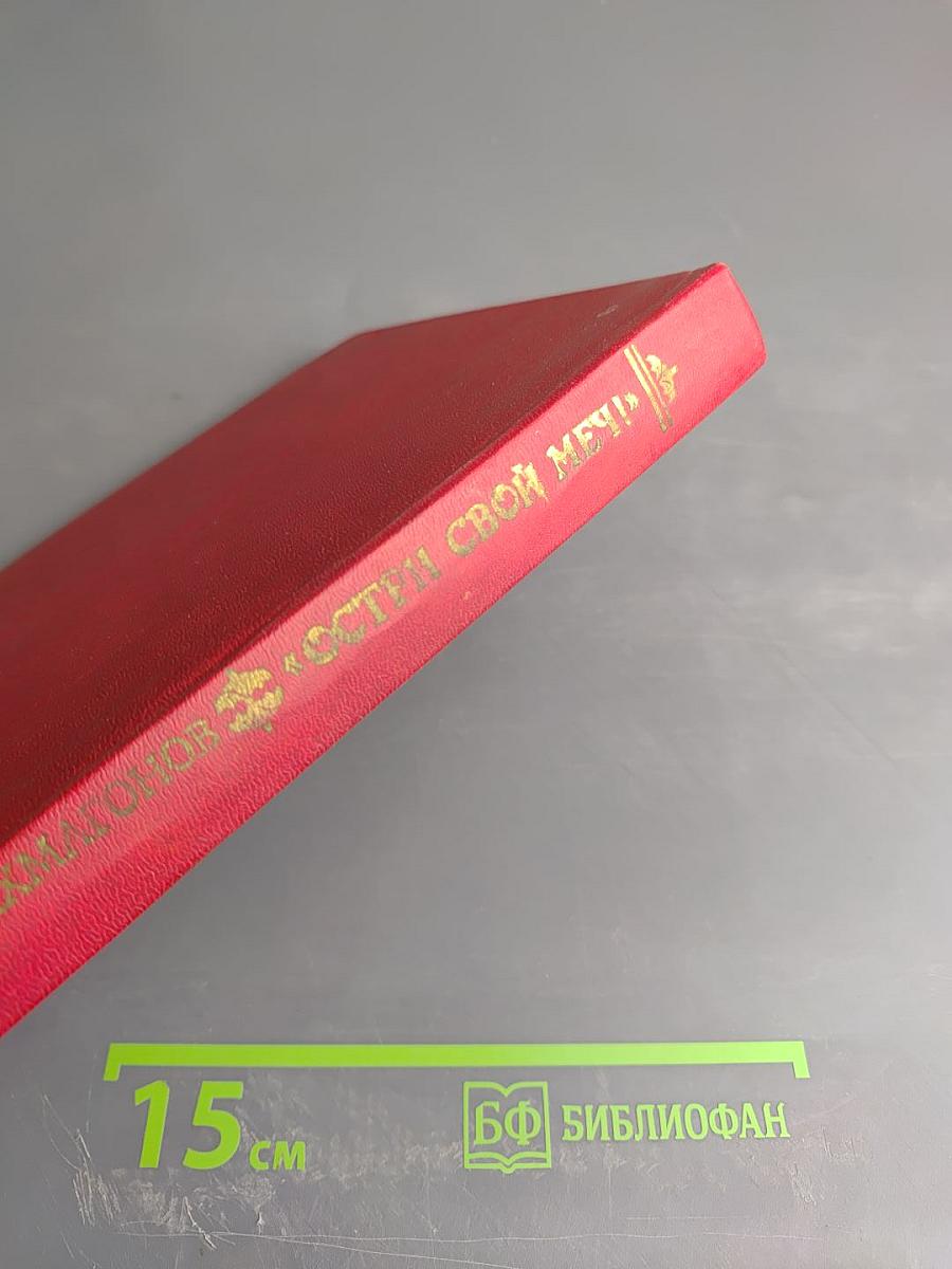 Остри свой меч! Книга вторая. Том второй