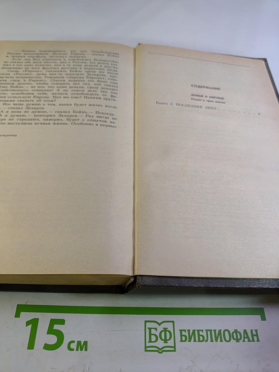 Последнее лето