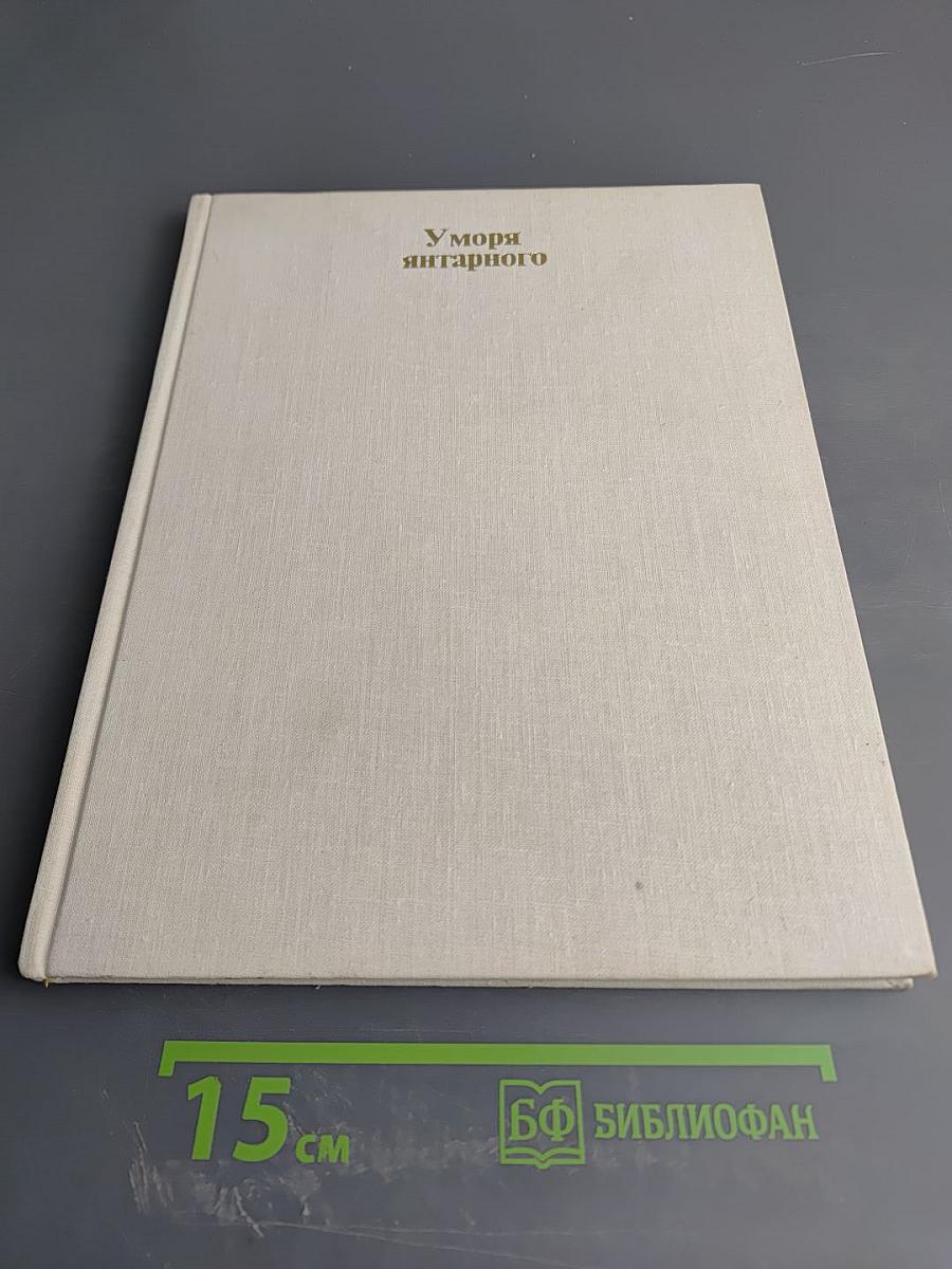 У моря янтарного